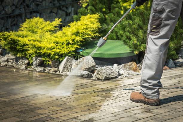 Best Boat and Dock Cleaning  in Georgetown, GA