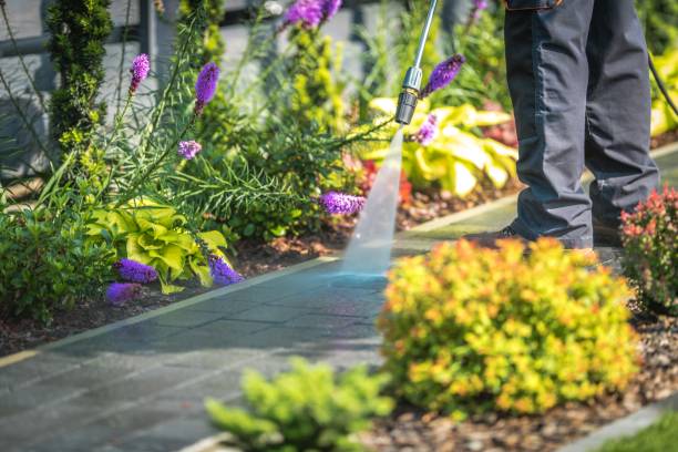 Best Pre-Holiday Cleaning  in Georgetown, GA