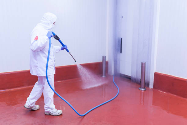 Best Driveway Pressure Washing  in Georgetown, GA